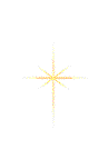 MyStarAni1.gif (2639 bytes)