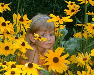 blackeyedsusans.jpg (95253 bytes)