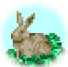 Little Brown Bunny.jpg (2148 bytes)