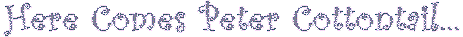 bunny5line2.gif (4012 bytes)