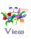 bunny5view.gif (3618 bytes)