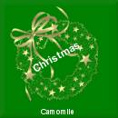 camomilexmas3.jpg (3544 bytes)