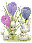 crocusbunnys.gif (6394 bytes)