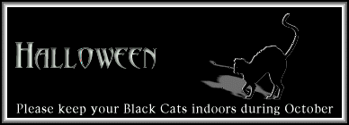 Care for Your Kitties
