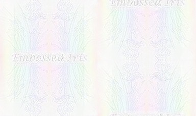 embsdirismulti2AA.jpg (17575 bytes)