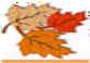 Fall Leaves.jpg (1858 bytes)