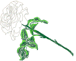 wpe42.jpg (6837 bytes)
