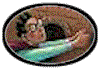 hpblank.gif (3895 bytes)