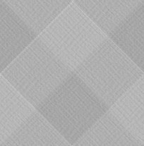 lgdiogreylight.jpg (8754 bytes)