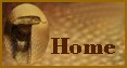 lhcircushome.jpg (3589 bytes)