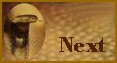 lhcircusnext.jpg (3558 bytes)