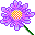smpurpflower.gif (383 bytes)
