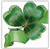 Go to St Patrick's Page Now