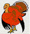 Turkey.jpg (3181 bytes)