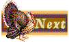turkeynext.gif (4202 bytes)
