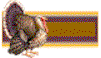 turkeysmblank.gif (3485 bytes)