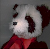 yingsmall.jpg (7974 bytes)