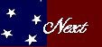 flagwavnext.jpg (2989 bytes)